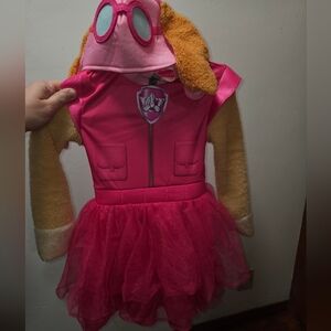 Skye Paw Patrol Costume